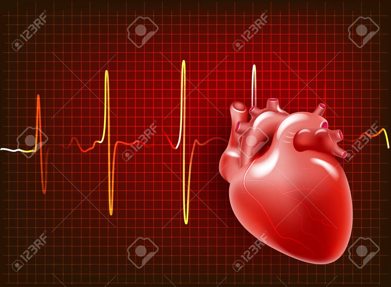 Human Heart. Realistic Heart On The Background Of A Cardiogram ...