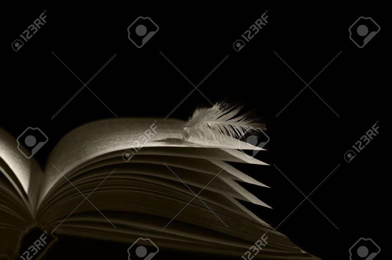 Plume D Ange Couche Sur Les Pages D Un Livre Ouvert Banque D Images Et Photos Libres De Droits Image