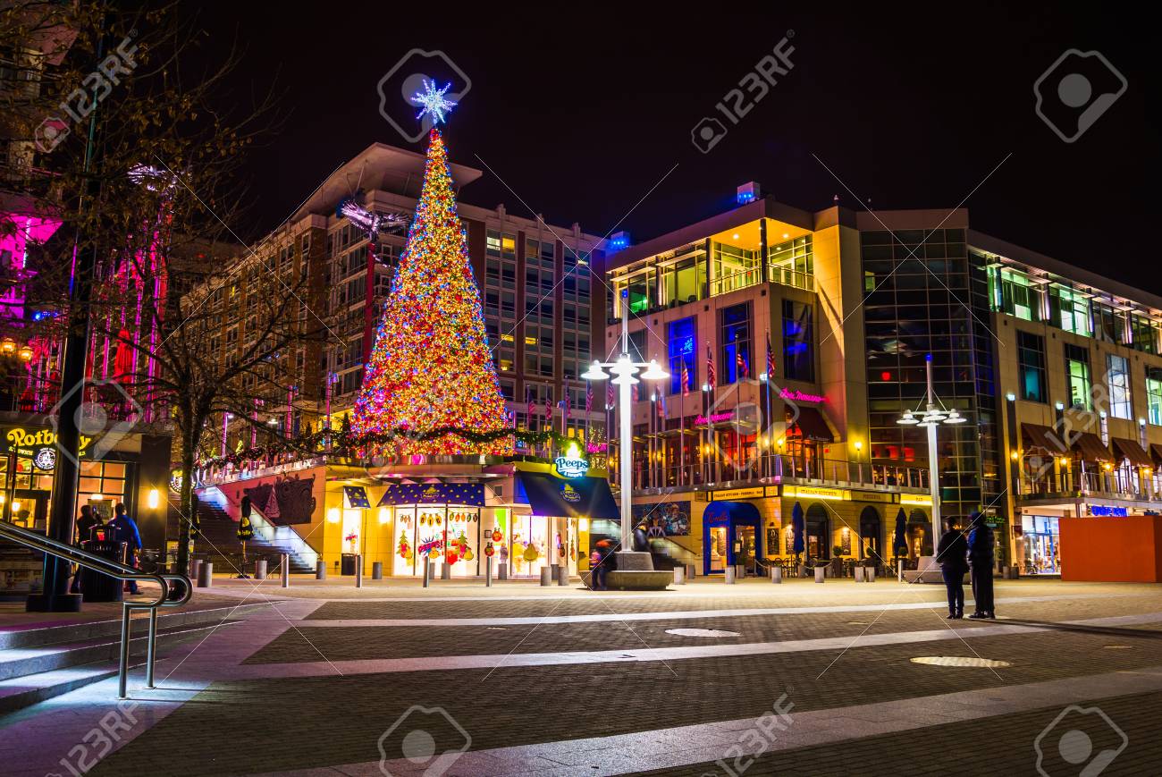 Christmas Tree At Baltimore National Harbour 2022 Christmas Tree And Buildings At Night In National Harbor, Maryland. Stock  Photo, Picture And Royalty Free Image. Image 25054243.