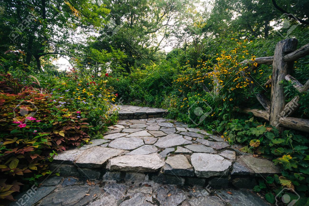 steps and flowers at the shakespeare garden in central park manhattan new york - Shakespeare Garden Central Park steps and flowers at the shakespeare garden in central park manhattan new york - Shakespeare Garden Central Park