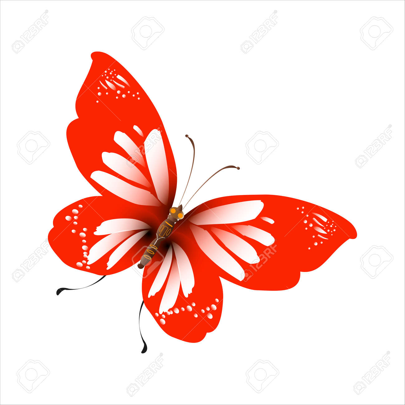 白で隔離される美しい赤い蝶のイラスト素材・ベクター Image 167454478