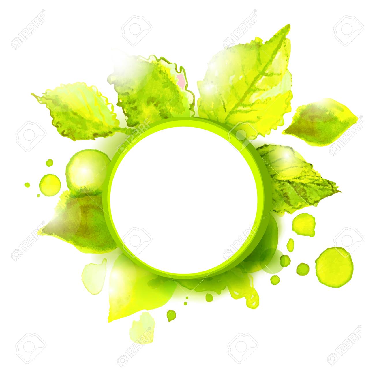 Vector empty label with green summer leaves. Season summer background for outdoor advertising. - 40975173 Vector empty label with green summer leaves. Season summer background for outdoor advertising. - 40975173