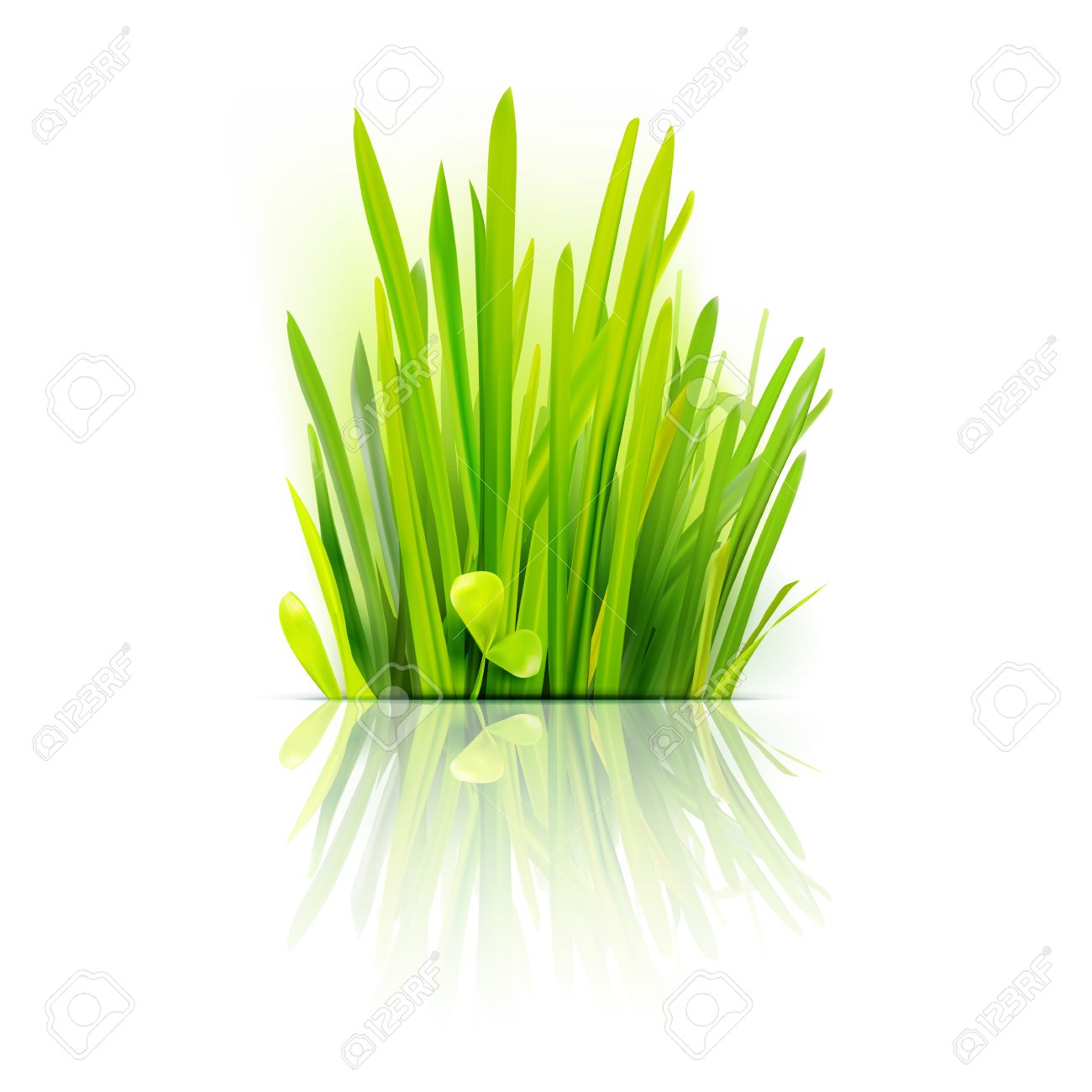 Realistic grass design element. Eco friendly field illustration. Summer green . Growth flora emblem. - 43041723 Realistic grass design element. Eco friendly field illustration. Summer green . Growth flora emblem. - 43041723