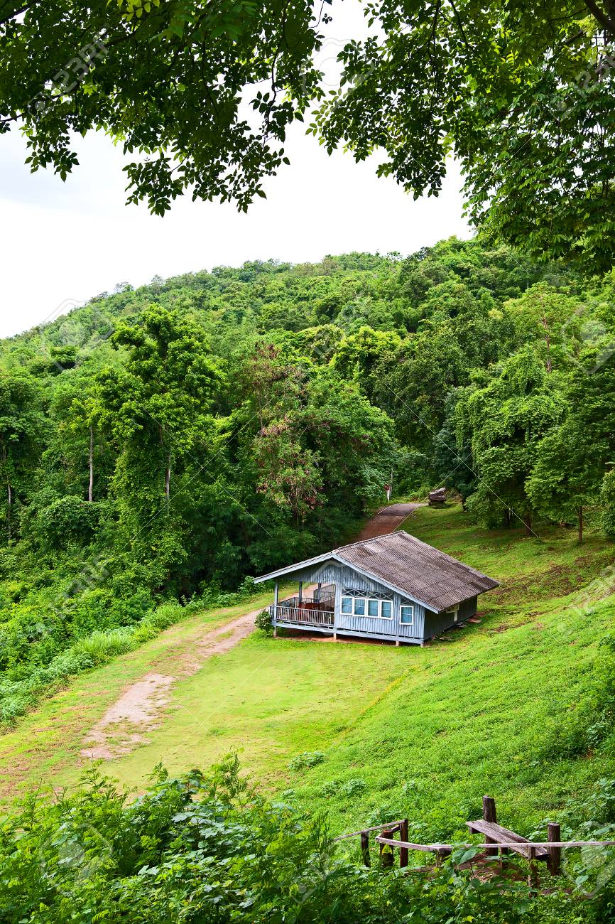 Little House In The Forest Thailand Stock Photo Picture And Royalty Free Image Image 88096246