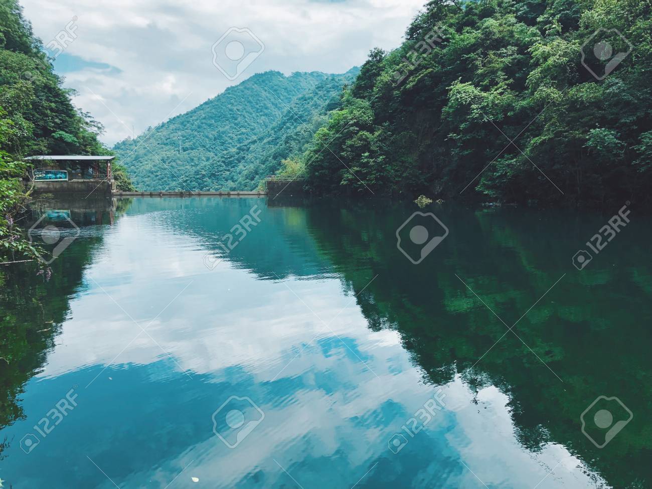 etiam-dictum-ipsum-a-felis