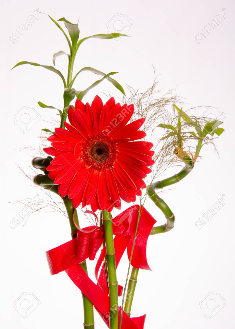 白い背景の花束と赤のガーベラの花