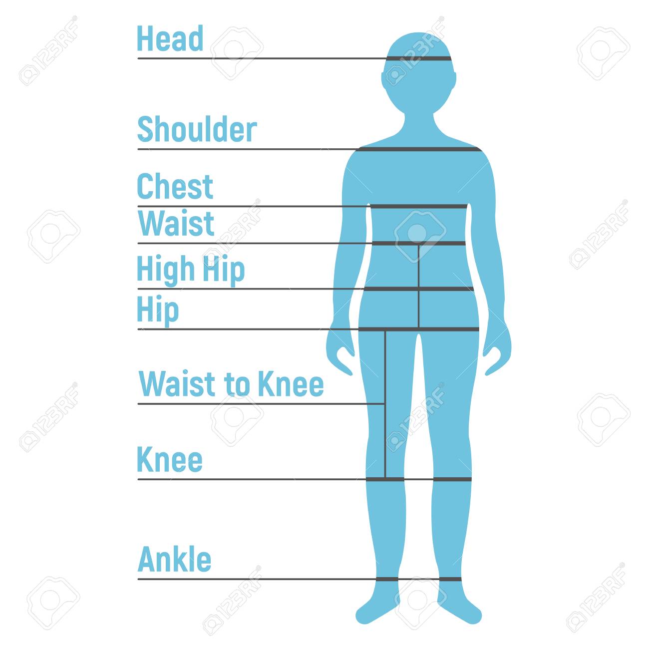 Free Size Chart