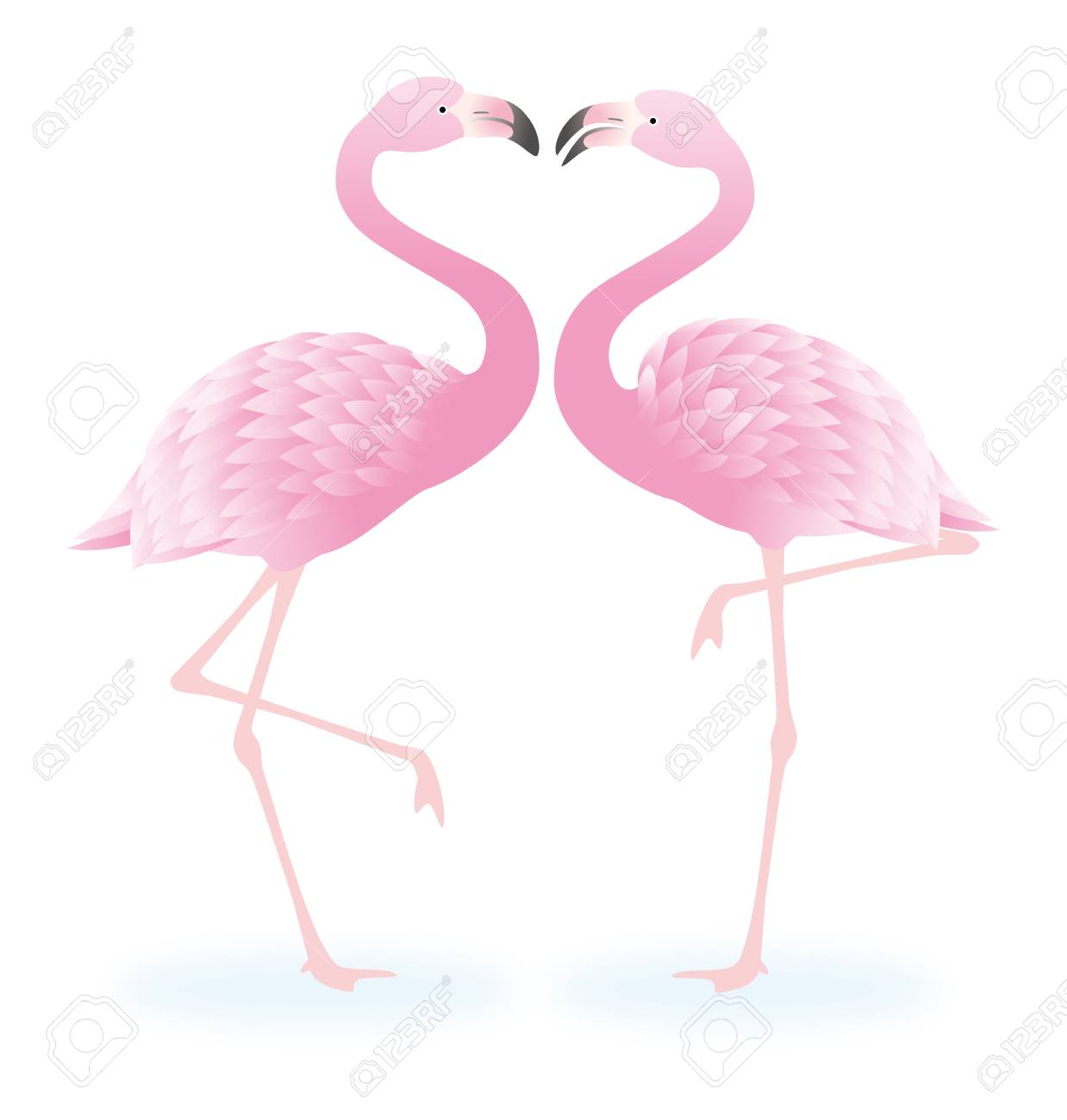 白い背景に分離された 2 つのフラミンゴのイラストのイラスト素材 ベクタ Image