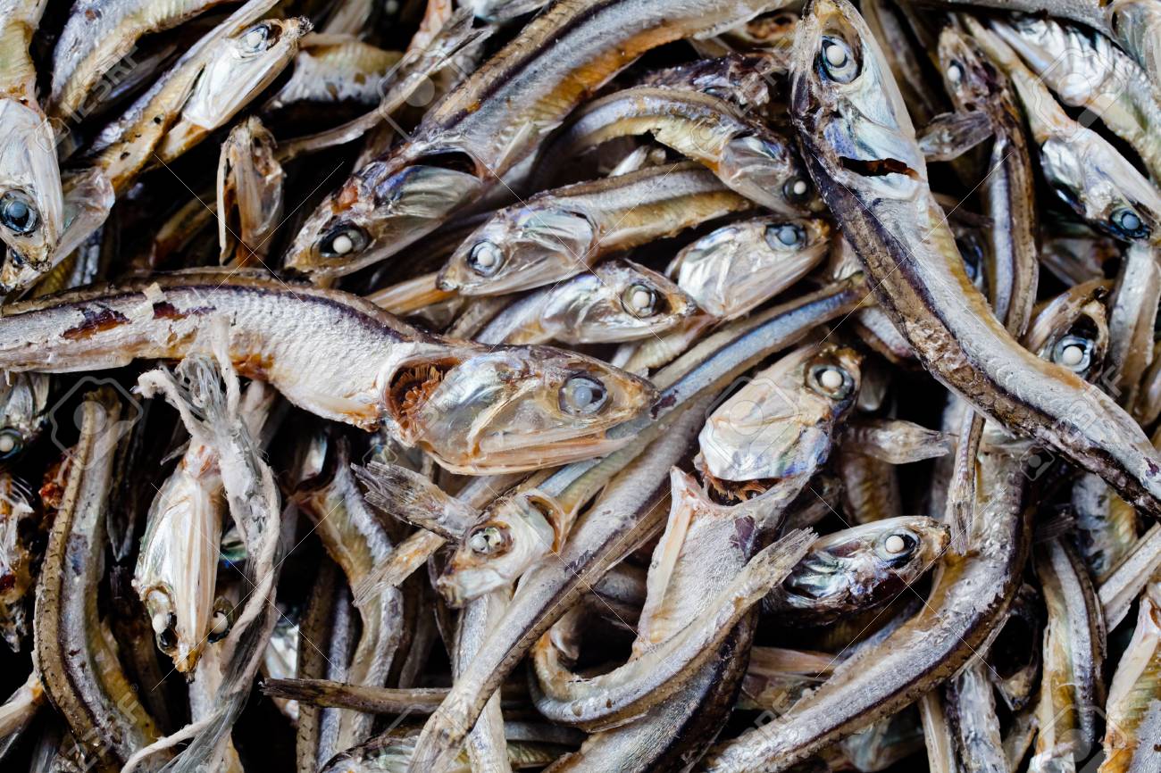 Pequeñas Sardinas Secas Fotos, Retratos, Imágenes Y Fotografía De Archivo  Libres De Derecho. Image 88215567.