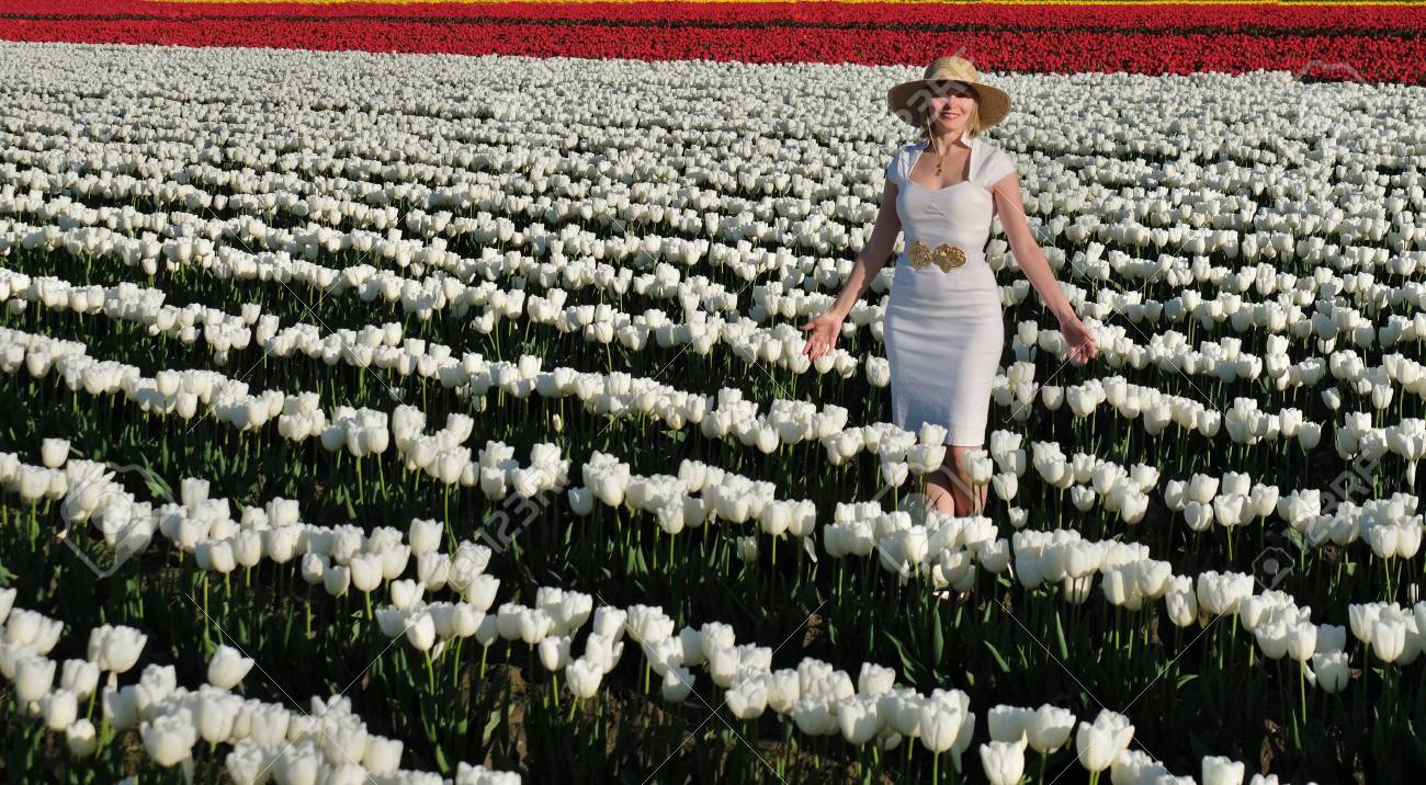 チューリップ畑に笑顔の女性 スカジット バレー チューリップ祭 マウント ヴァーノン シアトル ワシントン州 米国 の写真素材 画像素材 Image