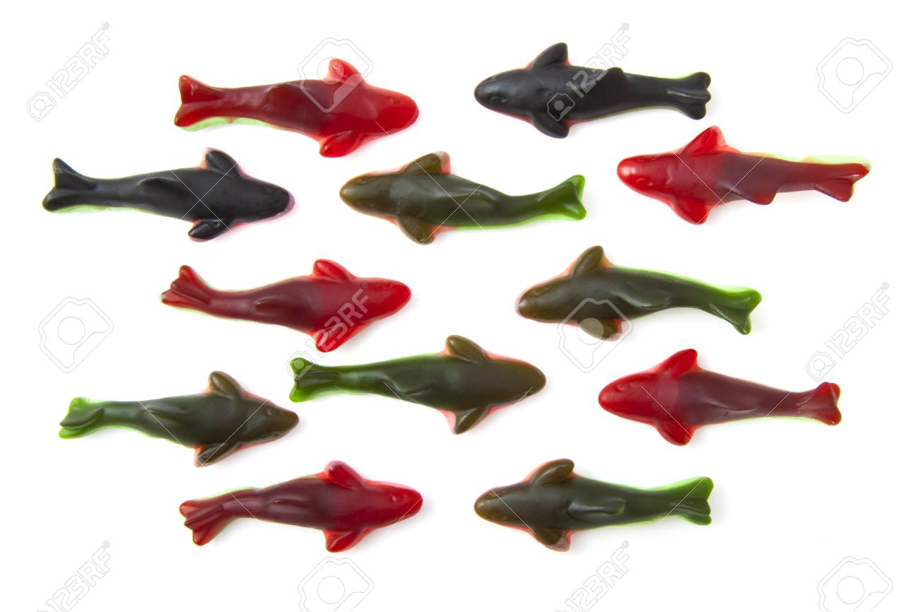 fila tiburon