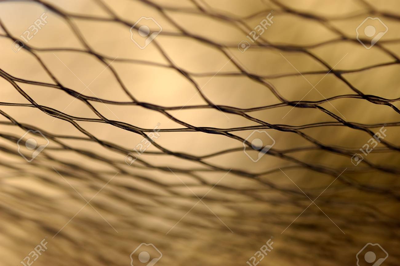 etiam-dictum-ipsum-a-felis