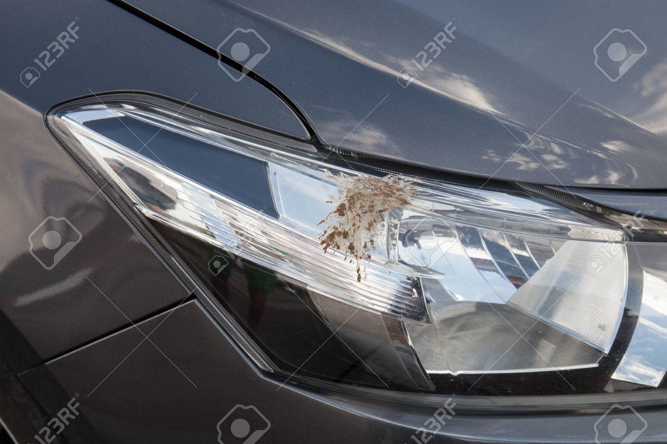 鳥の糞車のクローズ アップ の写真素材 画像素材 Image
