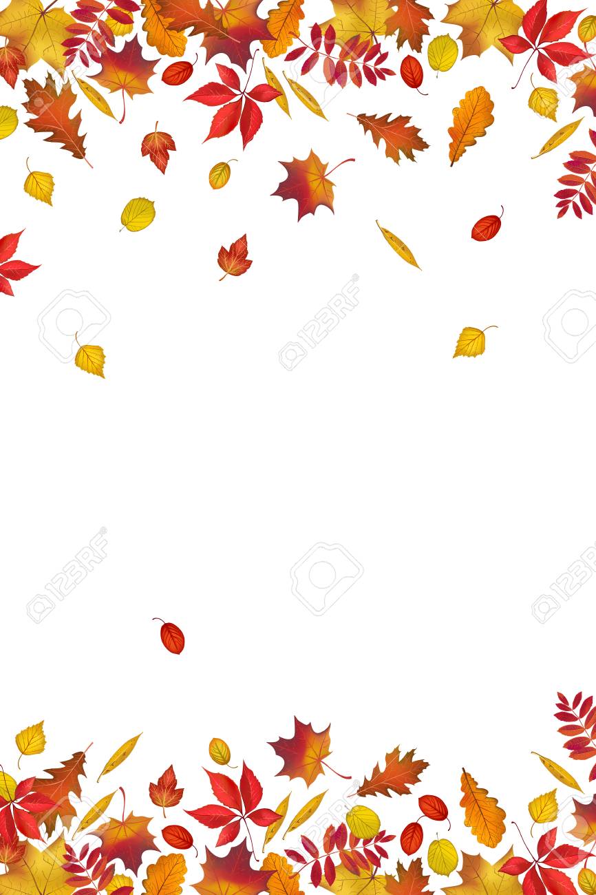 autumn leaves border isolated on white background abstract fall