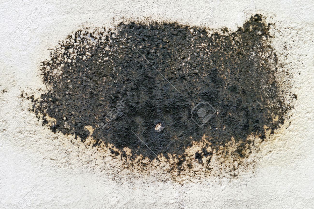 black mold on cement board stock photo picture and royalty free