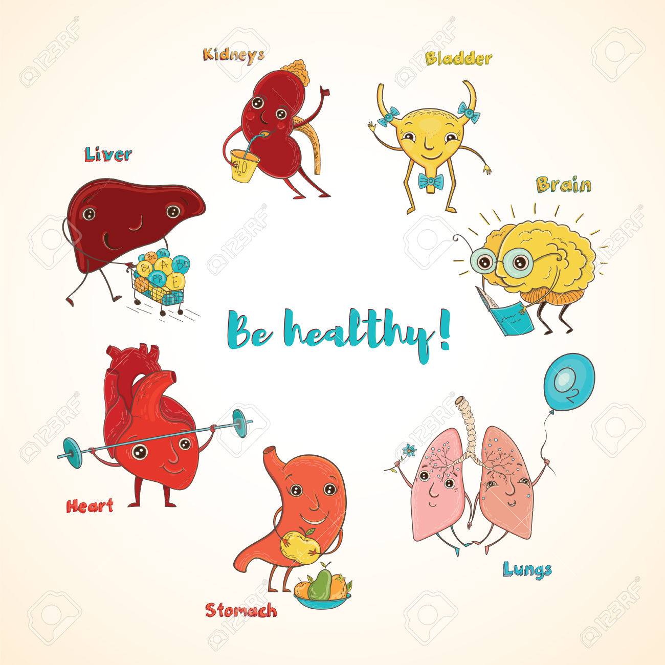 cartoon vector illustration of healthy human organs funny educational cartoon educational