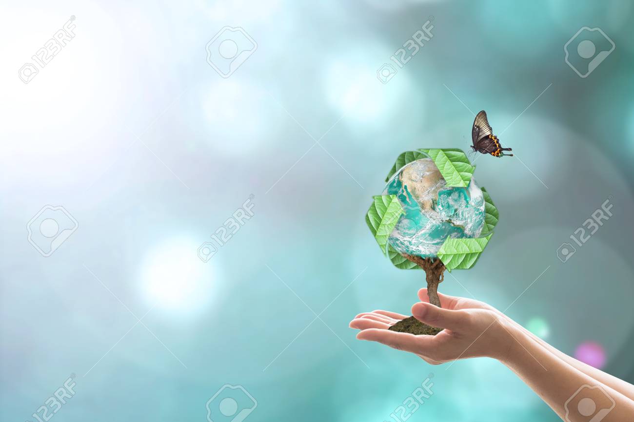 Waste recycle management, energy saving awareness, ecological sustainability and tree planting concept - 116284377 Waste recycle management, energy saving awareness, ecological sustainability and tree planting concept - 116284377