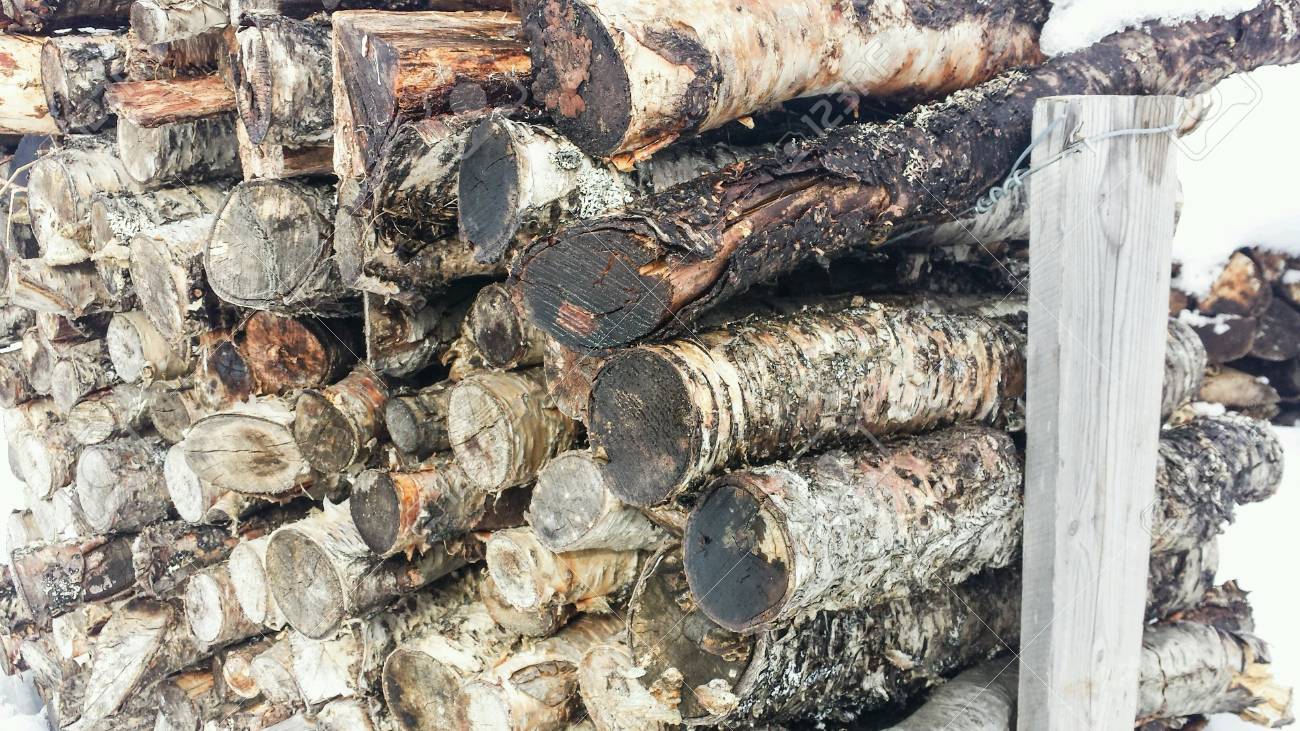 外の白樺の木薪ログ スタック の写真素材 画像素材 Image 外の白樺の木薪ログ スタック の写真素材 画像素材 Image