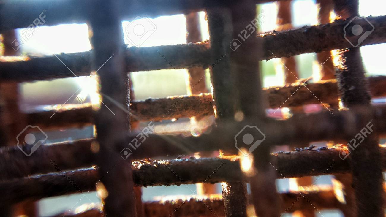 etiam-dictum-ipsum-a-felis