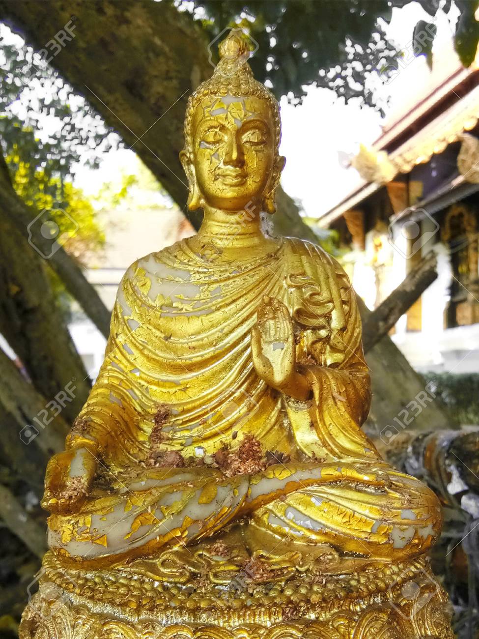 etiam-dictum-ipsum-a-felis