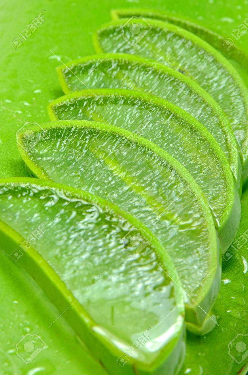 アロエベラ アロエ消炎 水分補給ミル スター サボテン アロエベラ 混ざり合わない Jafferabad またはバルバドス皮膚の治療に非常に有用な漢方薬をスライスし スキンケアのためのスパで使用 の写真素材 画像素材 Image