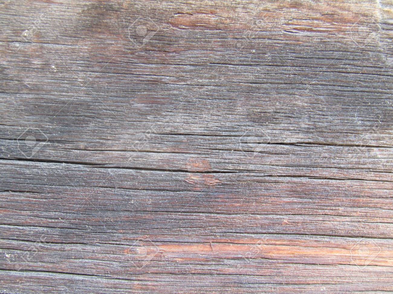 How to paint boards from larch 99 How to paint boards from larch 25