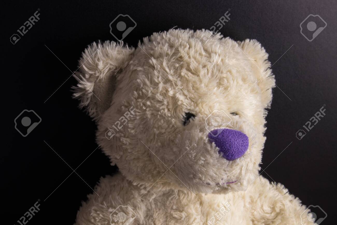 teddy bear nose