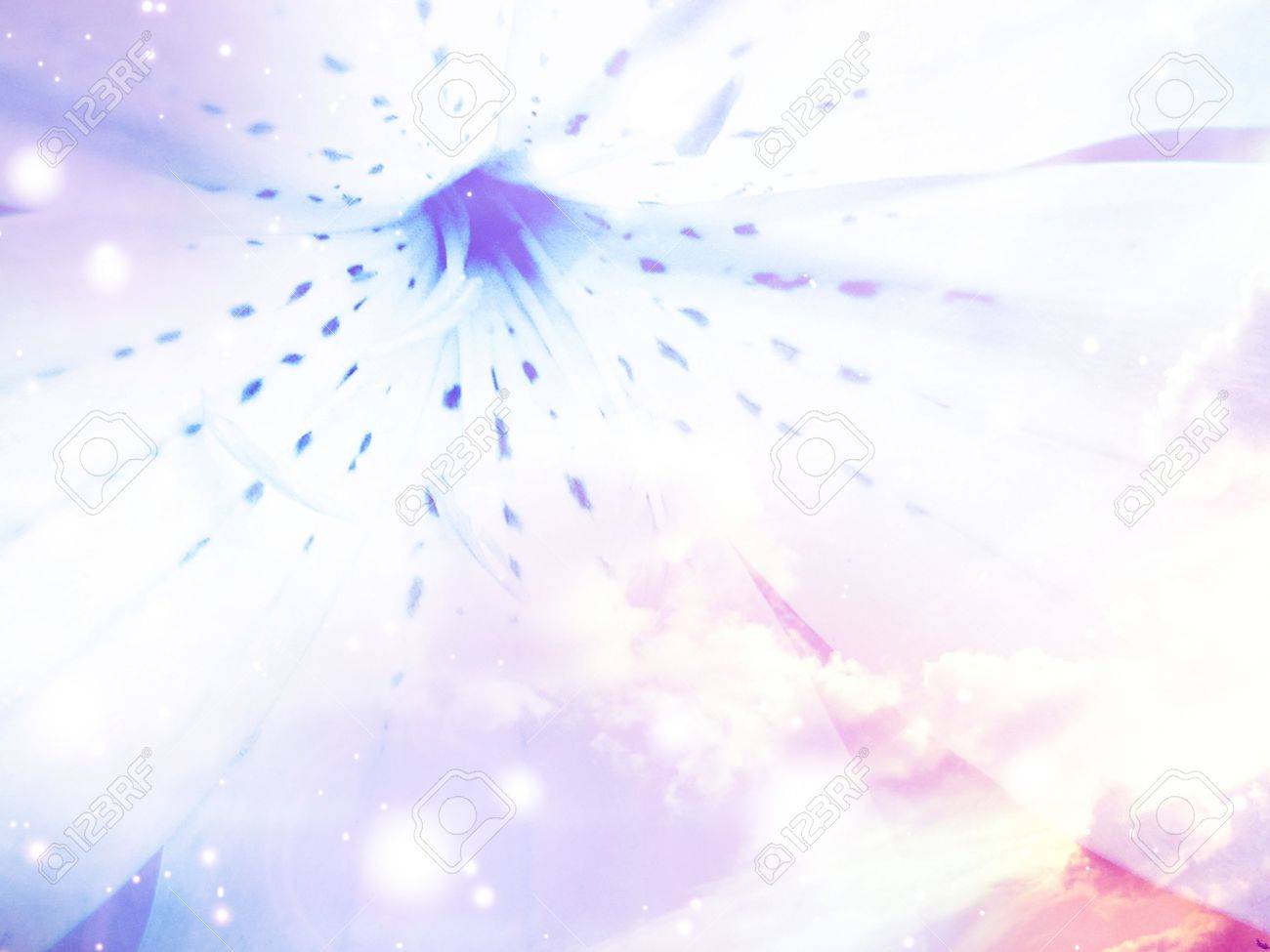 Faint Flower On A Soft Blue Background Stock Photo Picture And Royalty Free Image Image 5398006
