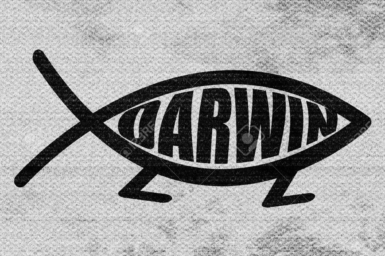 Darwin Fish Symbol With Some Soft Smooth Lines Stock Photo, Picture And  Royalty Free Image. Image 55521640.