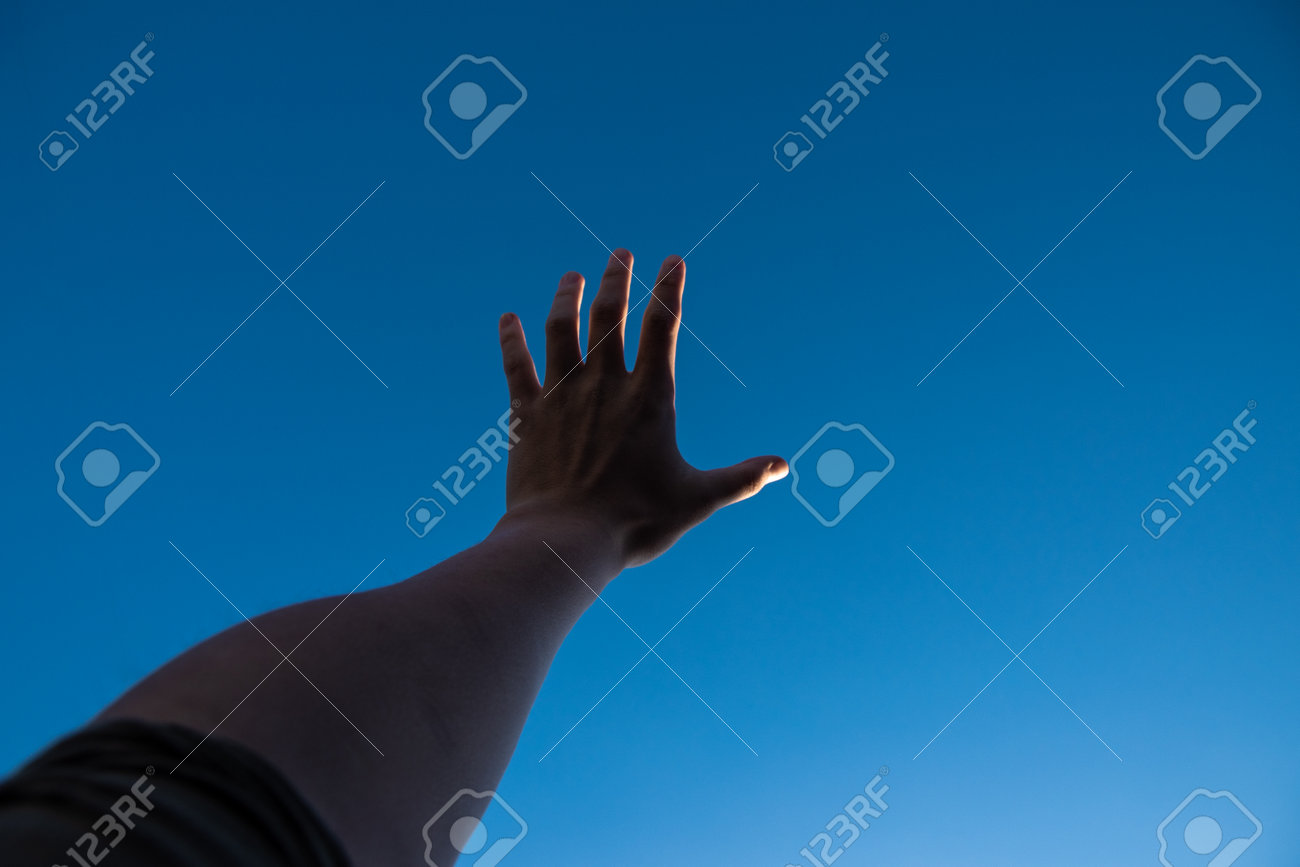 etiam-dictum-ipsum-a-felis