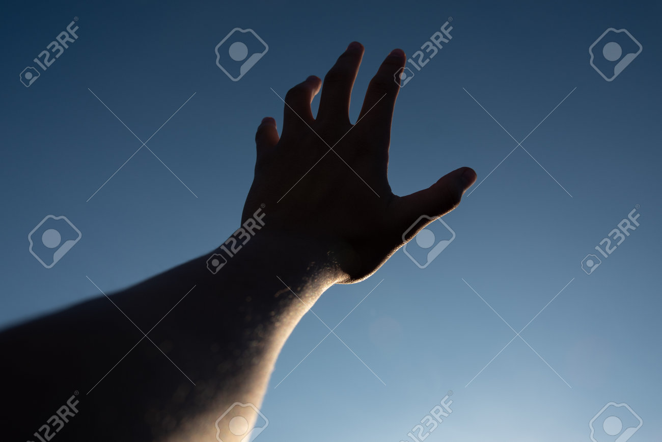 etiam-dictum-ipsum-a-felis