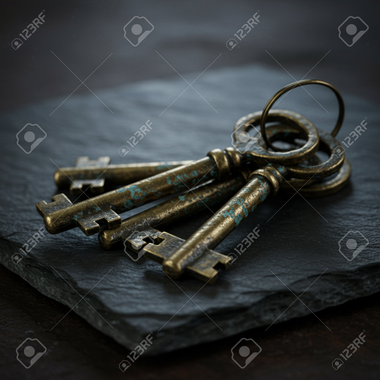 etiam-dictum-ipsum-a-felis