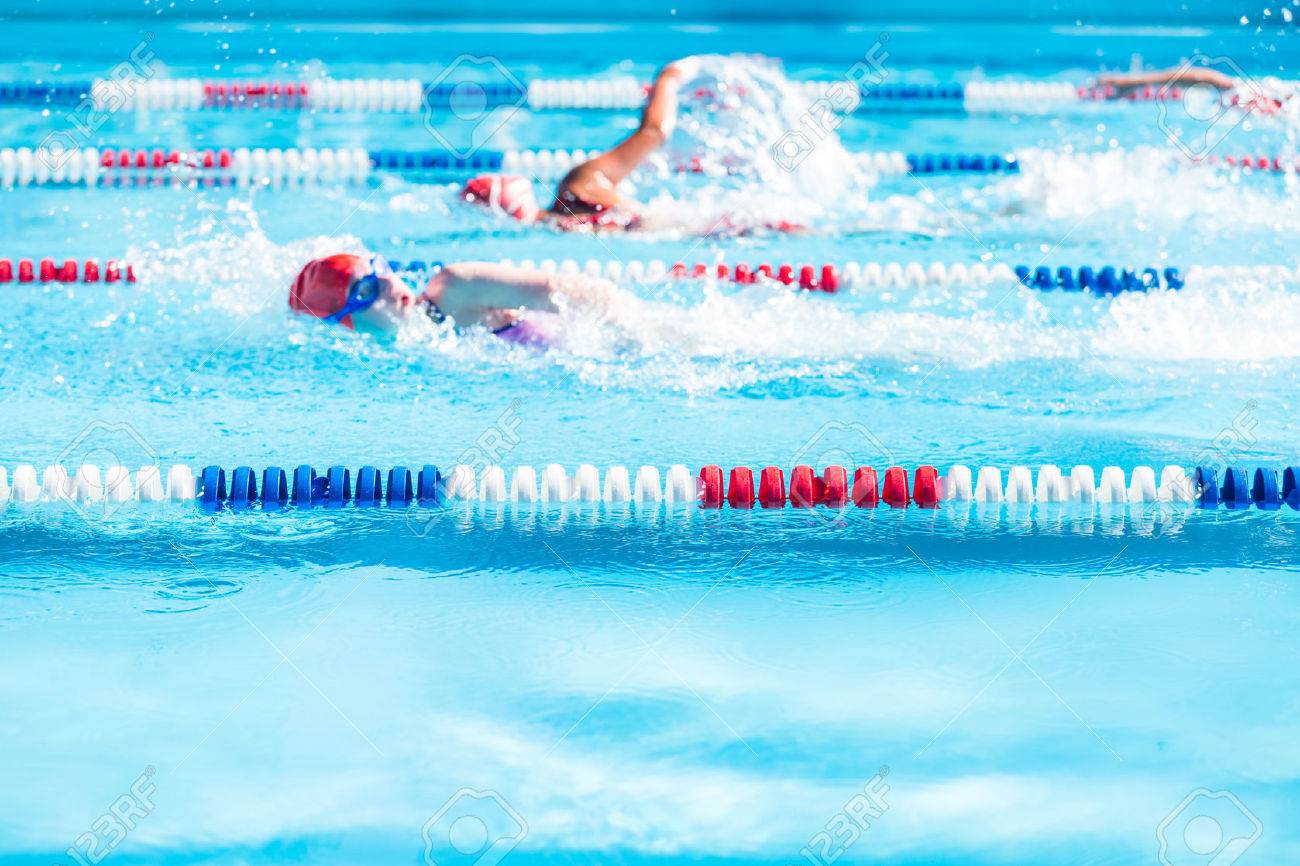 Kids swim meet in outdoor pool during the summer. - 42559542 Kids swim meet in outdoor pool during the summer. - 42559542