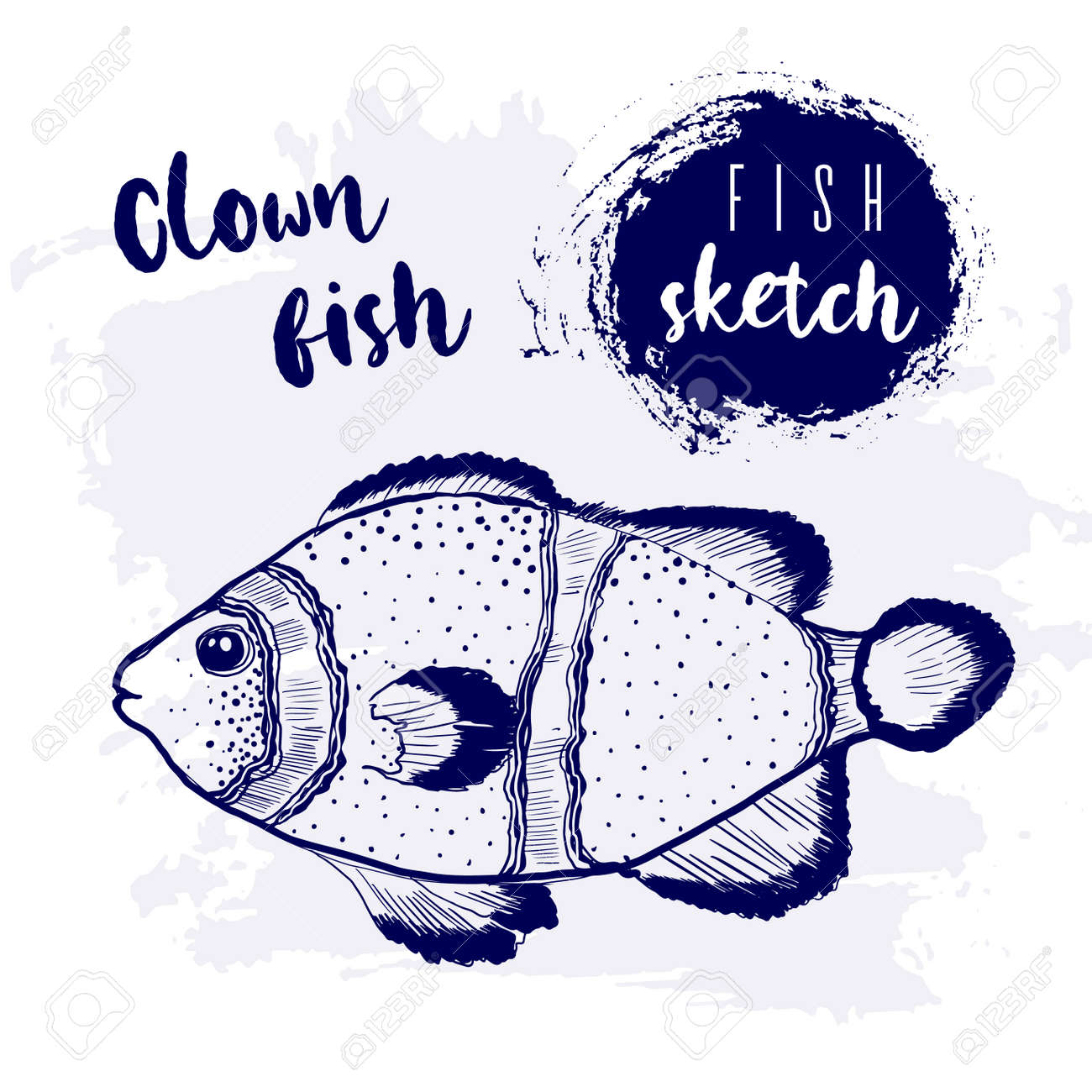 Vintage clown fish marine sketch.Retro line style.Hand drawn underwater. - 169556221 Vintage clown fish marine sketch.Retro line style.Hand drawn underwater. - 169556221