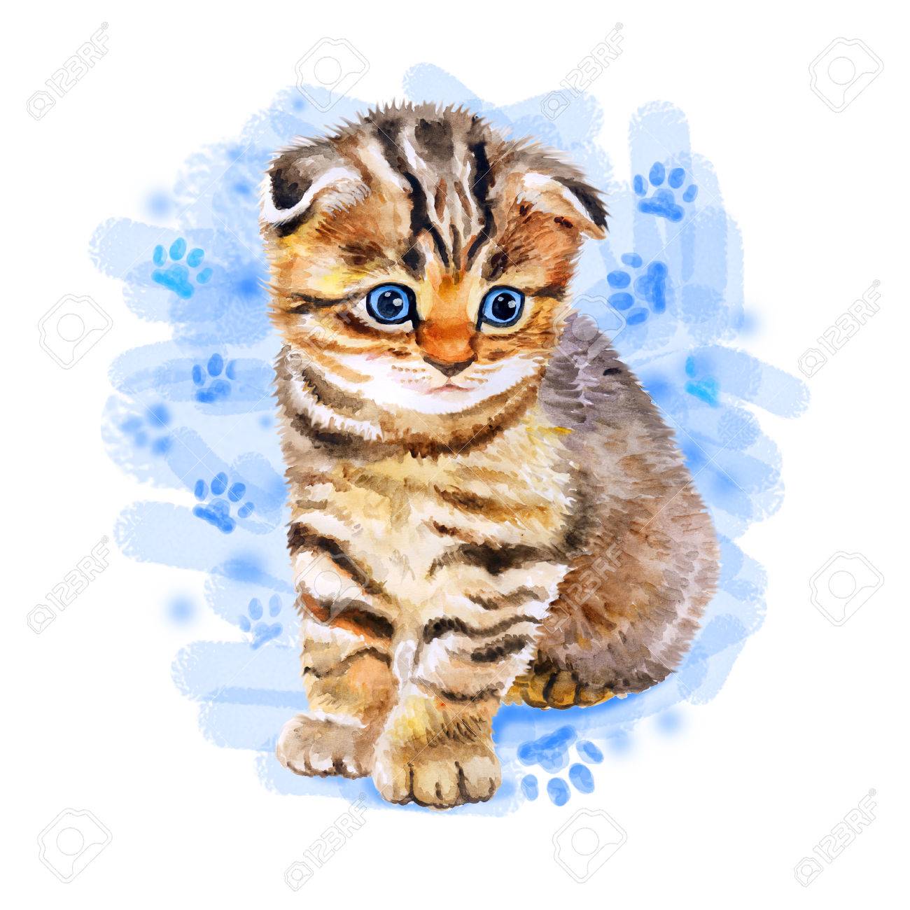 青の背景に分離した奇妙な目の英国スコティッシュ フォールド猫の水彩画の肖像画 手描きの甘いホーム ペット 現実的な外観の明るい色 青い目 グリーティング カード デザイン クリップアート の写真素材 画像素材 Image 青の背景に分離した奇妙な目の英国スコティッシュ フォールド猫の水彩画の肖像画 手描きの甘いホーム ペット 現実的な外観の明るい色 青い目 グリーティング カード デザイン クリップアート の写真素材 画像素材 Image