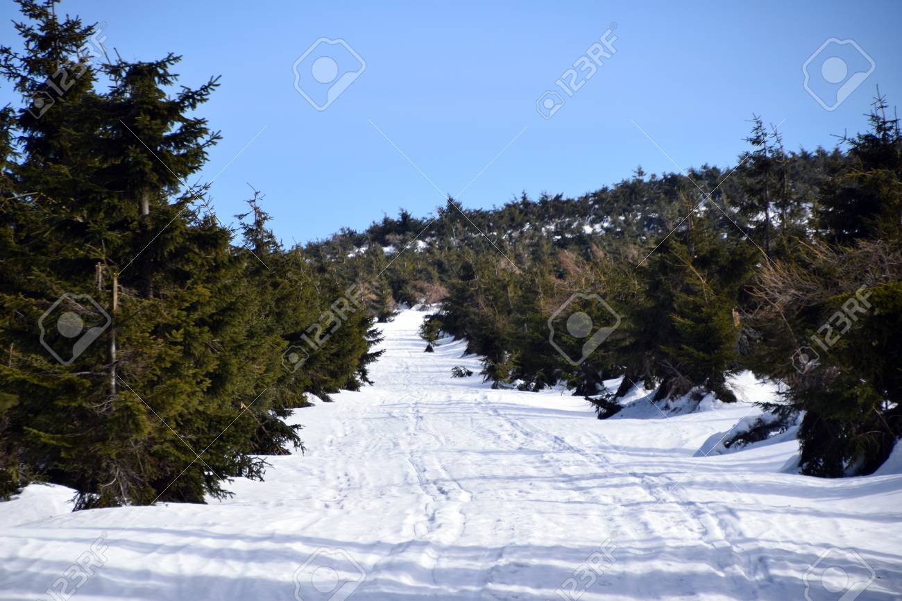 Snow Mountain Path Mountain Winter Track Winter Landscape Stock Photo Picture And Royalty Free Image Image 120466373
