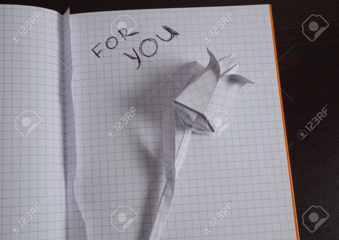 Notebook Paper Flower Tulip Closeup