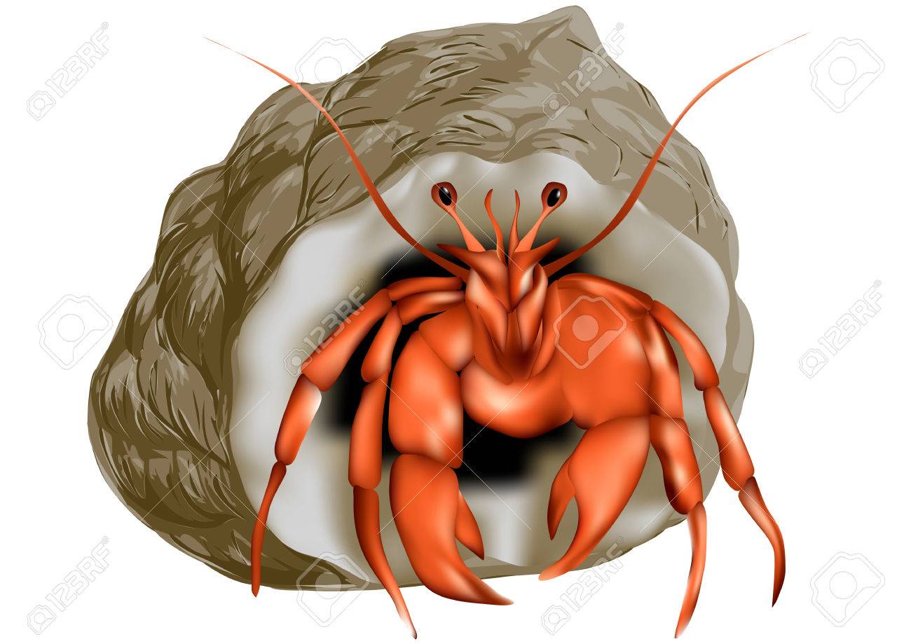 ヤドカリの分離 のイラスト素材 ベクタ Image