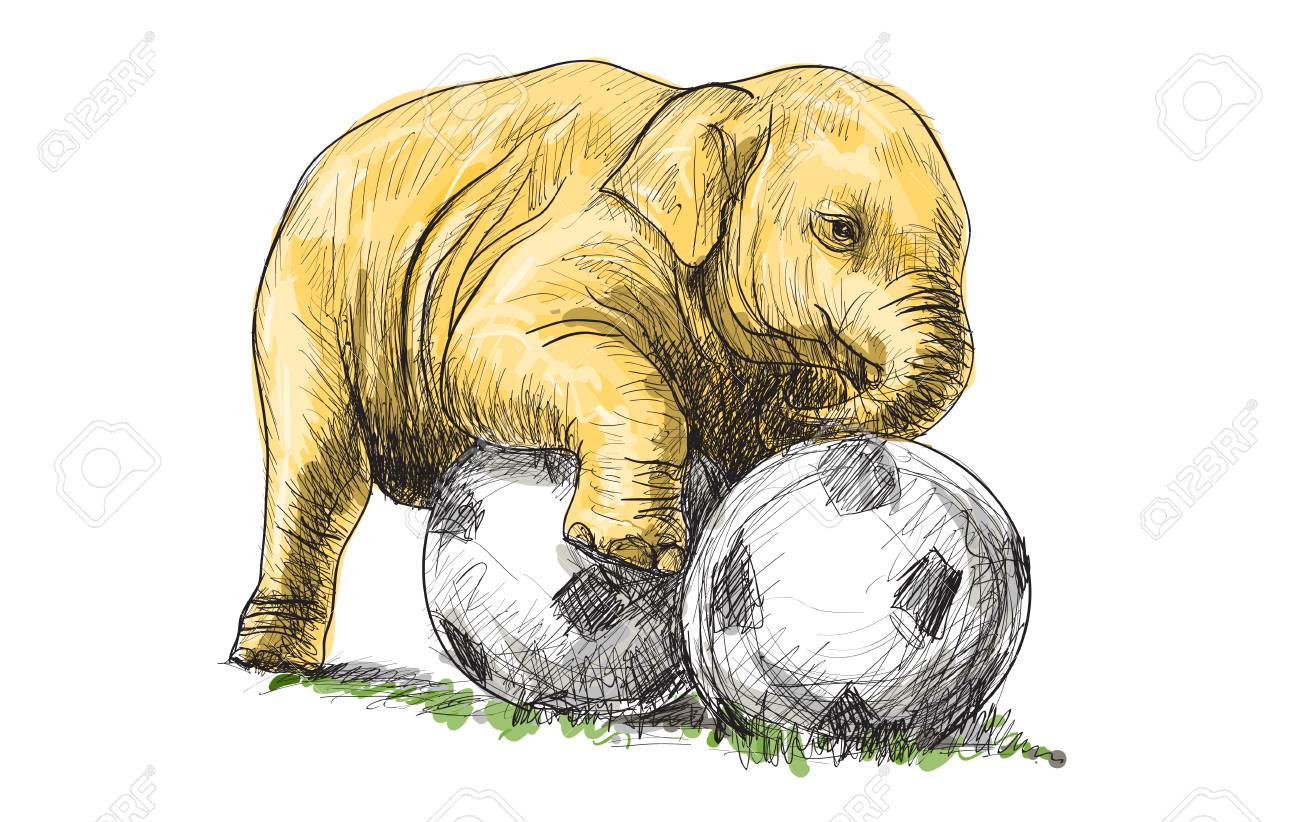 サッカー象の赤ちゃん スケッチとフリーハンド描画イラスト のイラスト素材 ベクタ Image 7430 サッカー象の赤ちゃん スケッチとフリーハンド描画イラスト のイラスト素材 ベクタ Image 7430