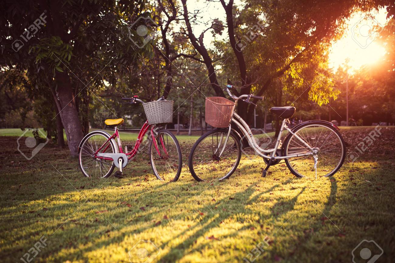 Bicicleteria del parque Clearance