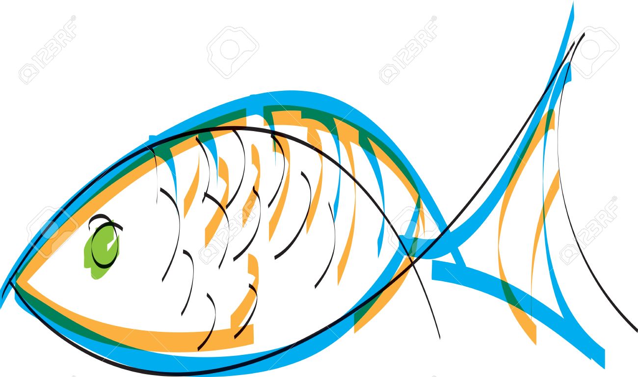 fish vector