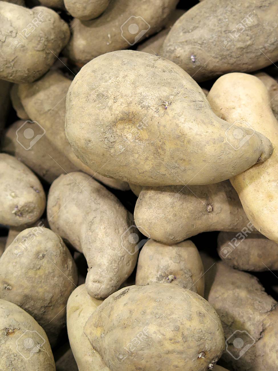 市場でペルーのジャガイモ の写真素材 画像素材 Image