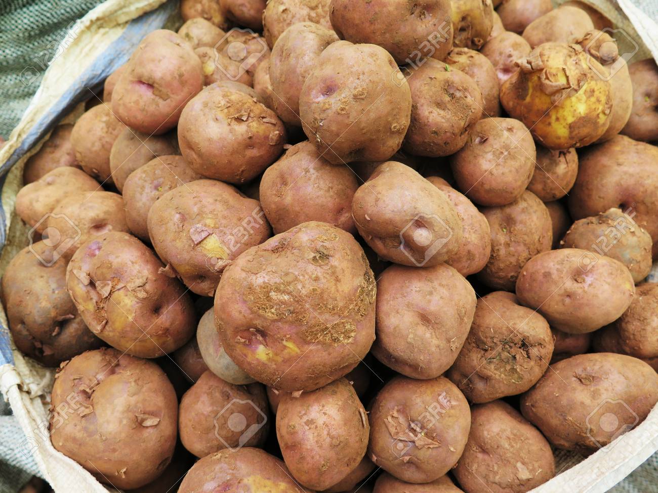 市場でペルーのジャガイモ の写真素材 画像素材 Image