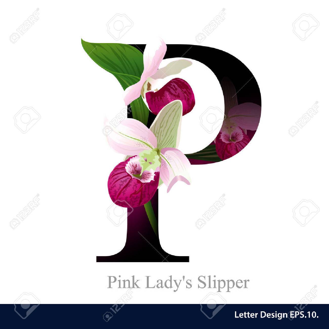 Letter P Vector Alphabet With Pink Ladys Slipper Flower Abc Concept Type As Logo Letter P Vector Alphabet With Pink Ladys Slipper Flower Abc Concept Type As Logo