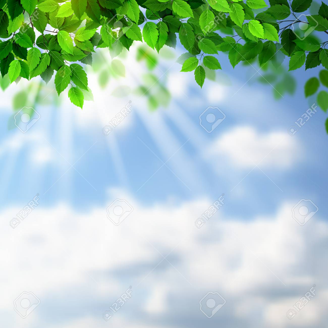 rays on the green