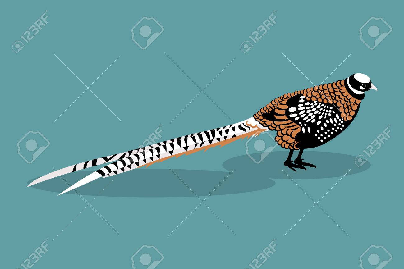 Ilustracion Faisan Real Sobre Un Fondo Azul Ilustraciones Vectoriales Clip Art Vectorizado Libre De Derechos Image Ilustracion Faisan Real Sobre Un Fondo Azul Ilustraciones Vectoriales Clip Art Vectorizado Libre De Derechos Image