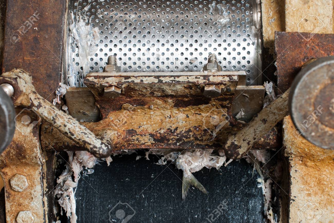 etiam-dictum-ipsum-a-felis