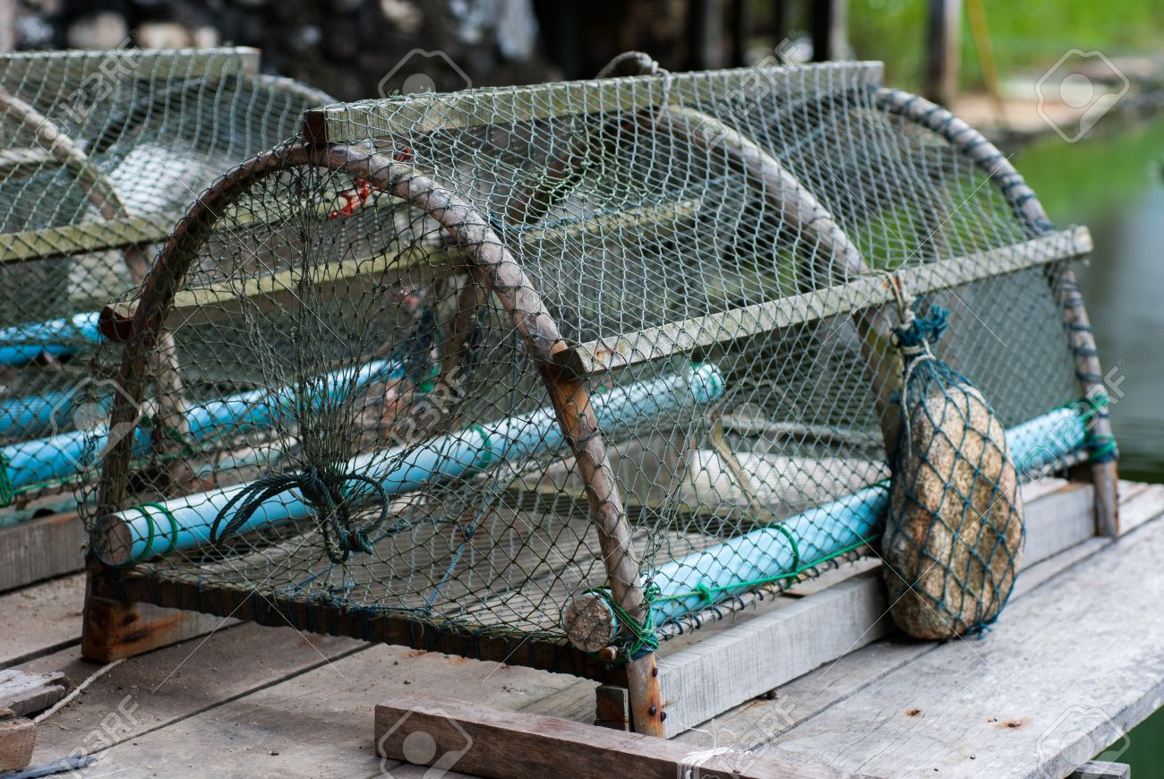 crab traps