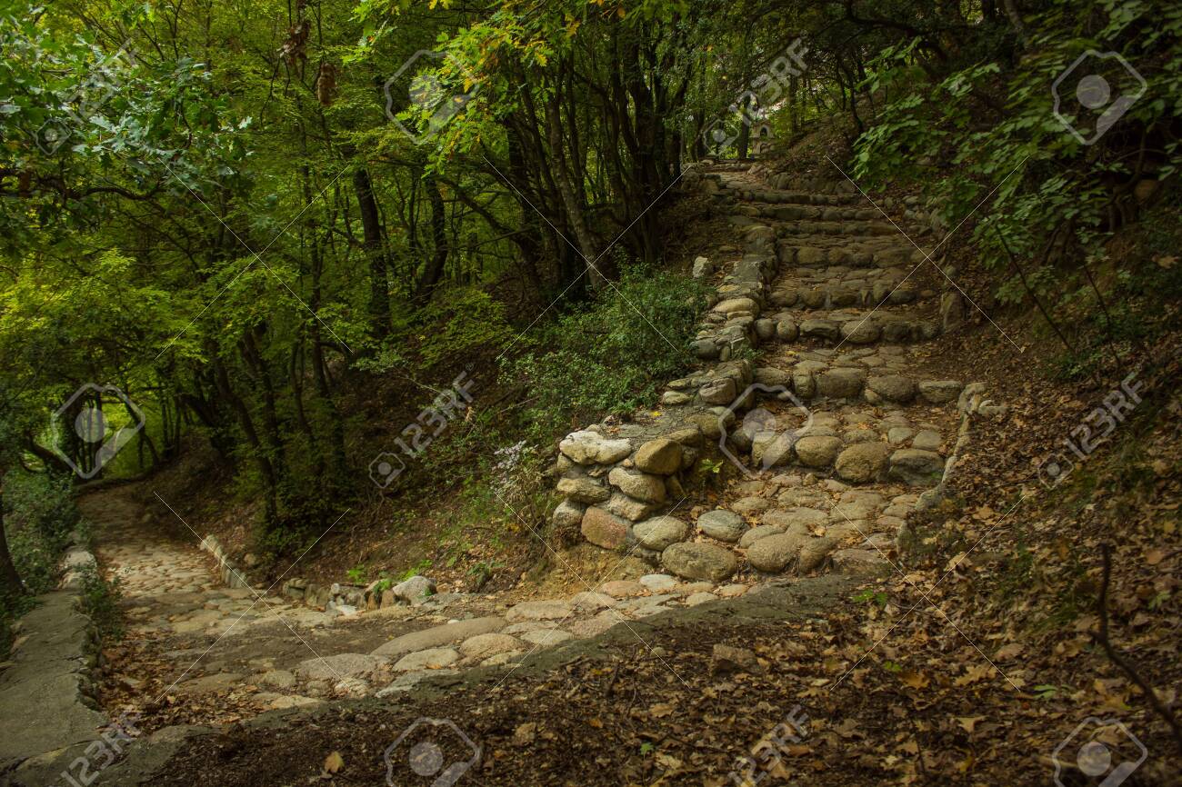 Fairy Tale Fantasy Forest Scenery Landscape Beautiful Atmospheric Green Natural Environment With Old Paved Track And Stone Stairs Path Way Under Trees Shadows Stock Photo Picture And Royalty Free Image Image