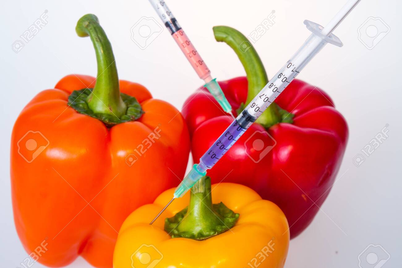 Genetically modified vegetables. GMO food concept. Syringes are stuck in vegetables with chemical additives. Injections into fruits and vegetables. Isolated on white background. - 144202852 Genetically modified vegetables. GMO food concept. Syringes are stuck in vegetables with chemical additives. Injections into fruits and vegetables. Isolated on white background. - 144202852